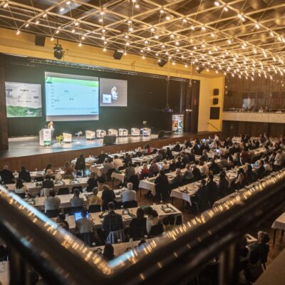 konference 19